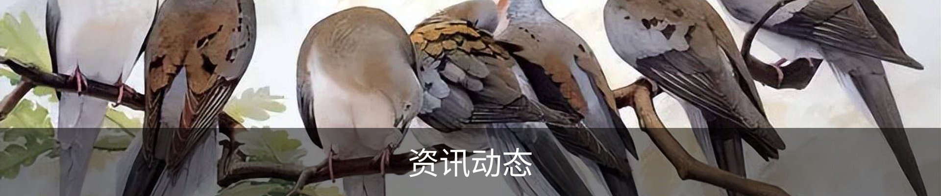 资讯动态